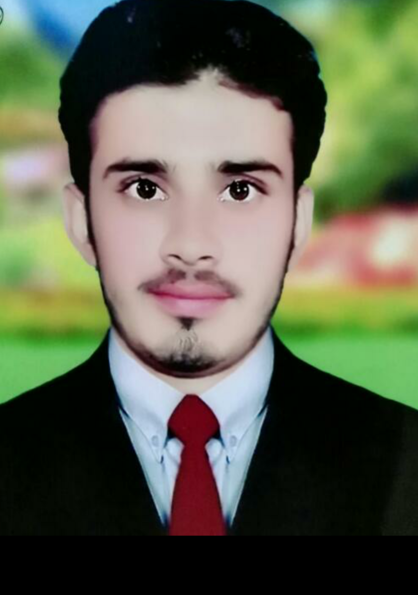 Hamza Ali Accounting