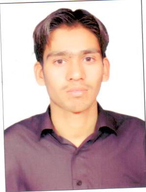 Muhammad Zeeshan Ali Data Entry