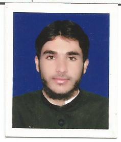 Muhammad Naeem Business Analysis, Data Processing, Statistics, Big Data, R