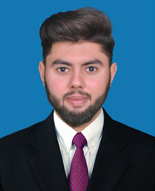 Muhammad Sheraz Word, Excel