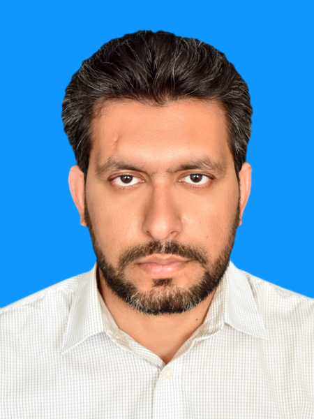 Hafeez Abbasi Management, Project Management, Risk Management, Excel, Project Scheduling