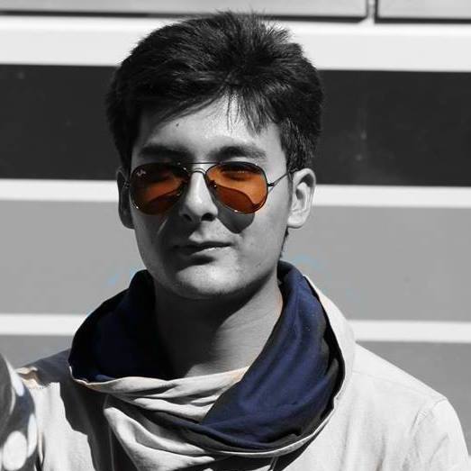 Muhammad Hassnain Illustrator, Photoshop, Logo Design, Presentations, Visual Arts