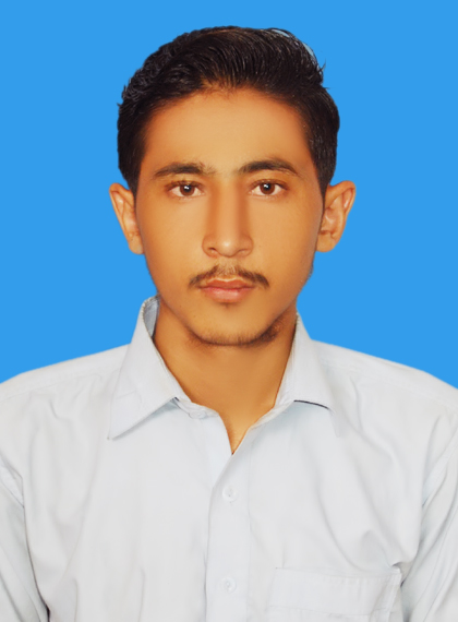 Mazahir Hussain Data Entry