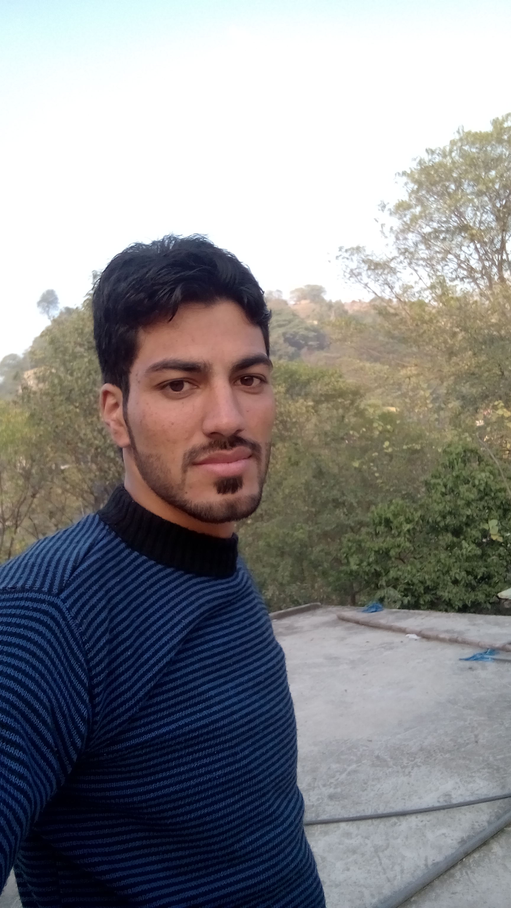 Hamid Latif Management