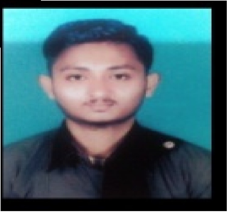 SYED AHMED ALI Phone Support, Technical Support, Desktop Support, Data Entry, Customer Support