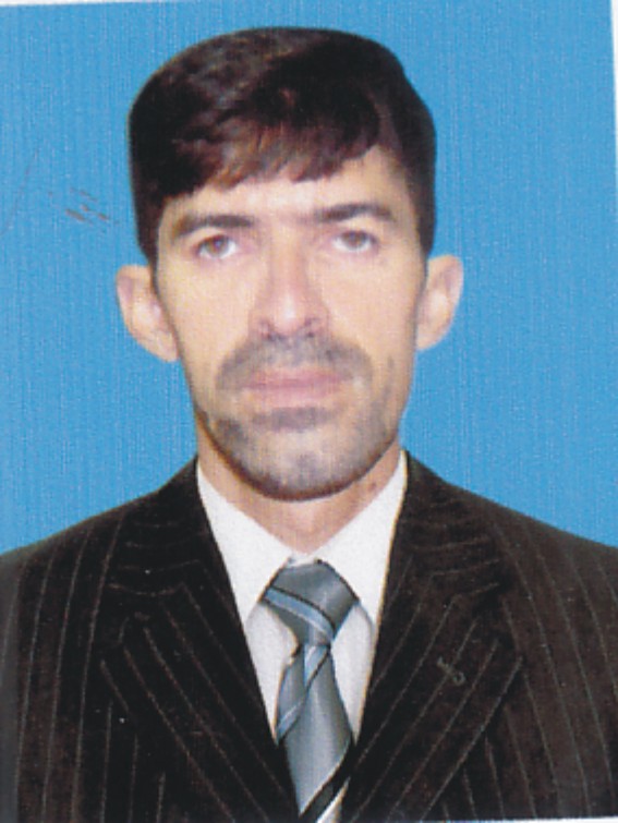 Naveed Ilyas Academic Writing