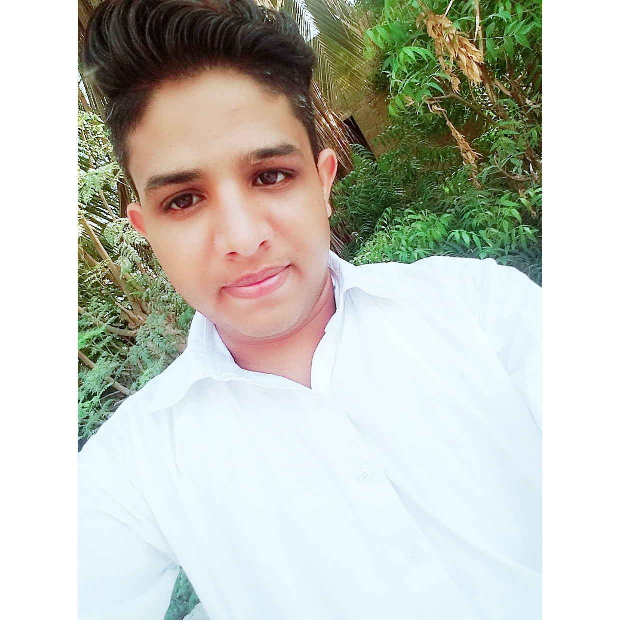 Moazzam Faiz Illustrator, Music