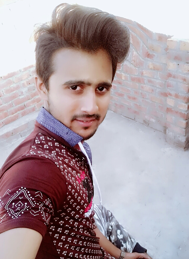 Raza Tariq Data Processing, Excel, Data Entry, Virtual Assistant, Article Submission