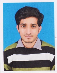 Wasif Munib Presentations, Word, Data Processing, Excel, Virtual Assistant