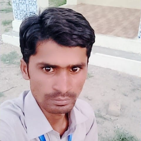 Sanjay Kumar Scientific Research, Climate Sciences, Energy, Report Writing