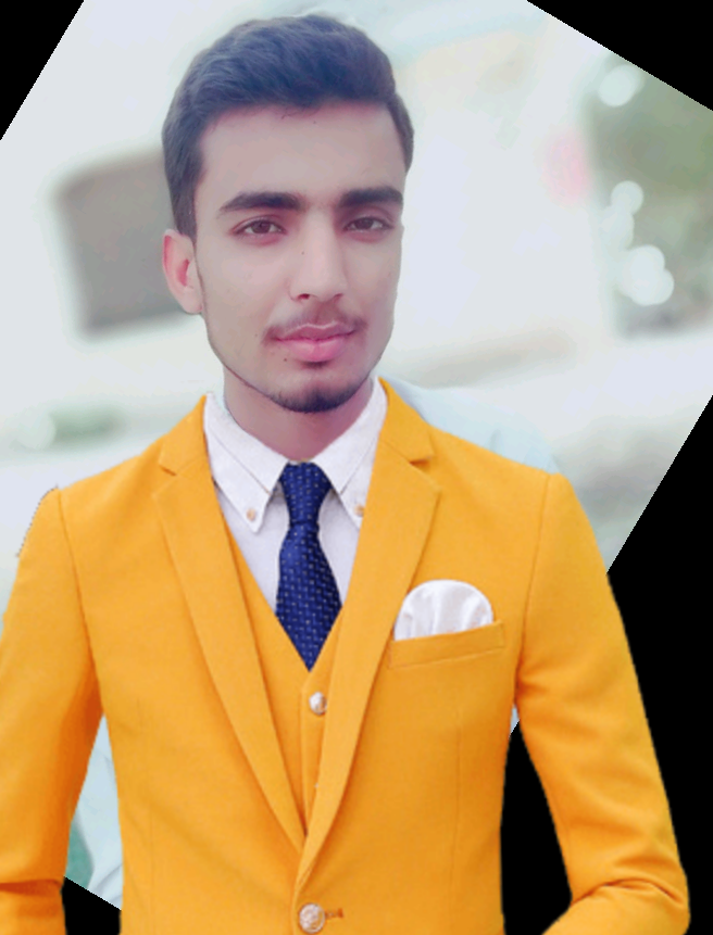 Muhammad Waseem Academic Writing
