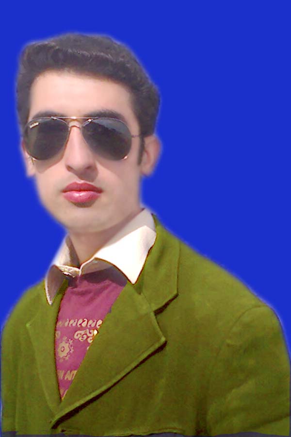 Gul Siyar Human Resources, Business Plans, Data Processing, Excel, Education & Tutoring