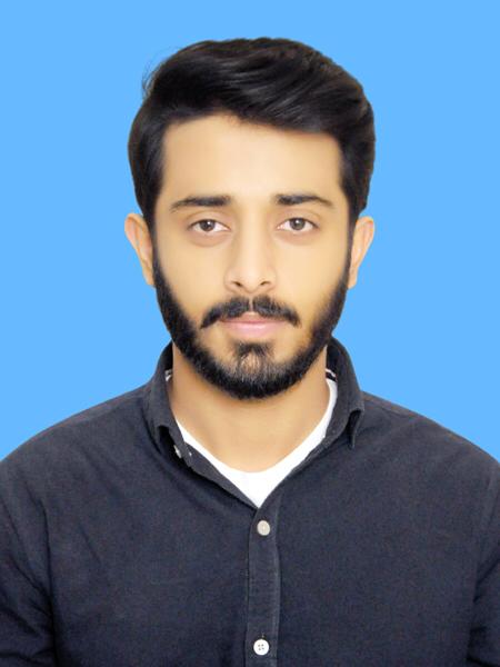 Mubashir Mujtaba Oracle, C# Programming, C++ Programming, SQL, Software Development