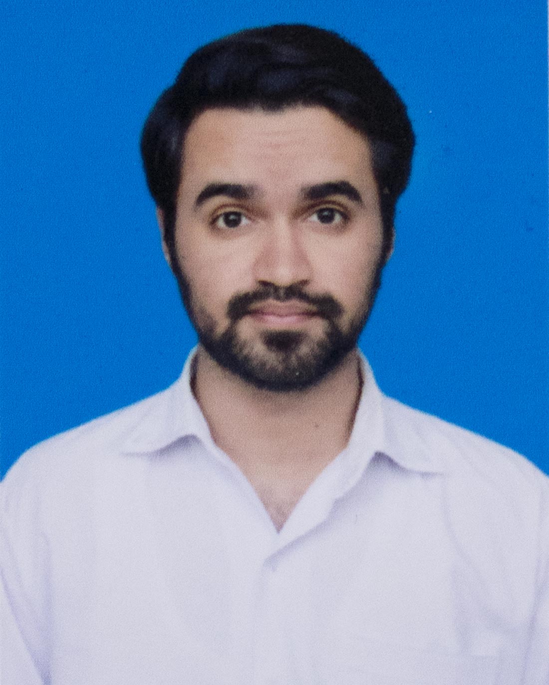 Muhammad Talha Imran Profile