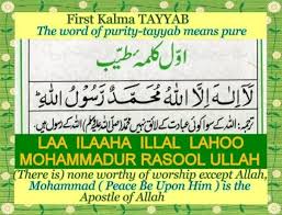 Sayed Azimkhan Profile Sayed Azimkhan Profile