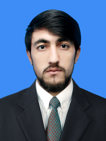 Adeel Hussain Profile