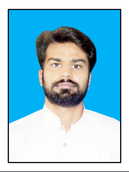 Muhammad Zeeshan Haleemi 