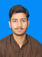 Zulqarnain Ali Animation, Blog Design