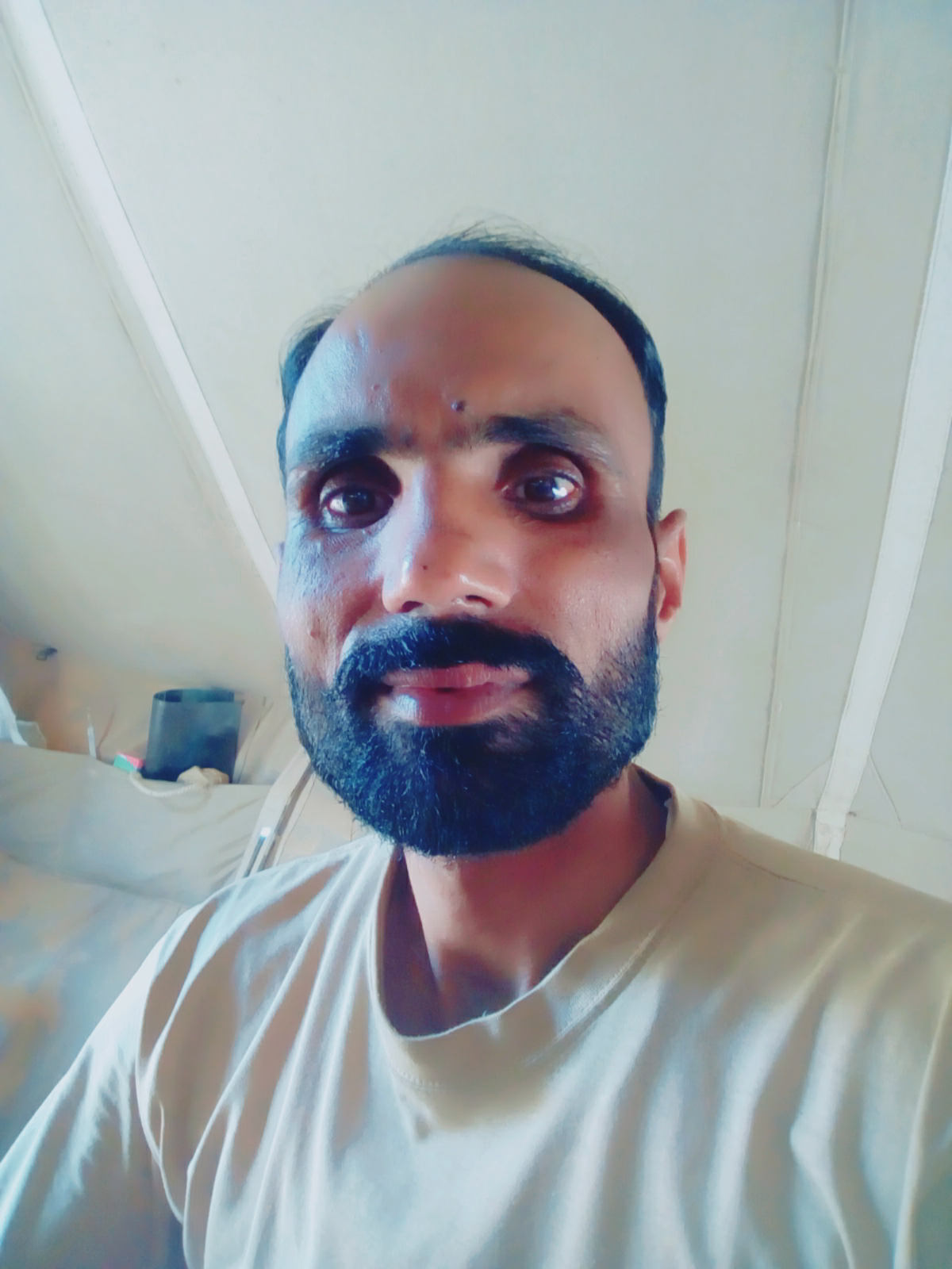 Muhammad Zubair Hussain 