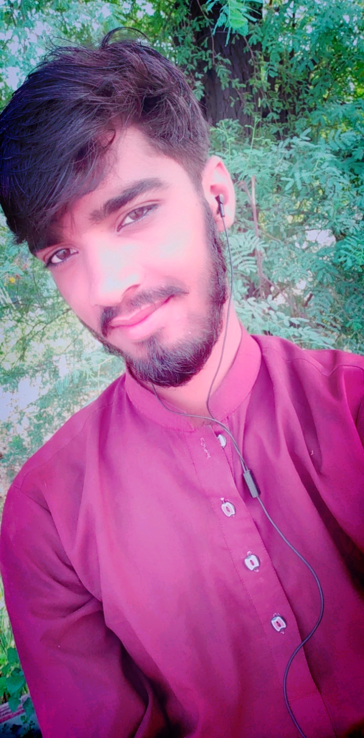 Ali Haider Profile Ali Haider Profile