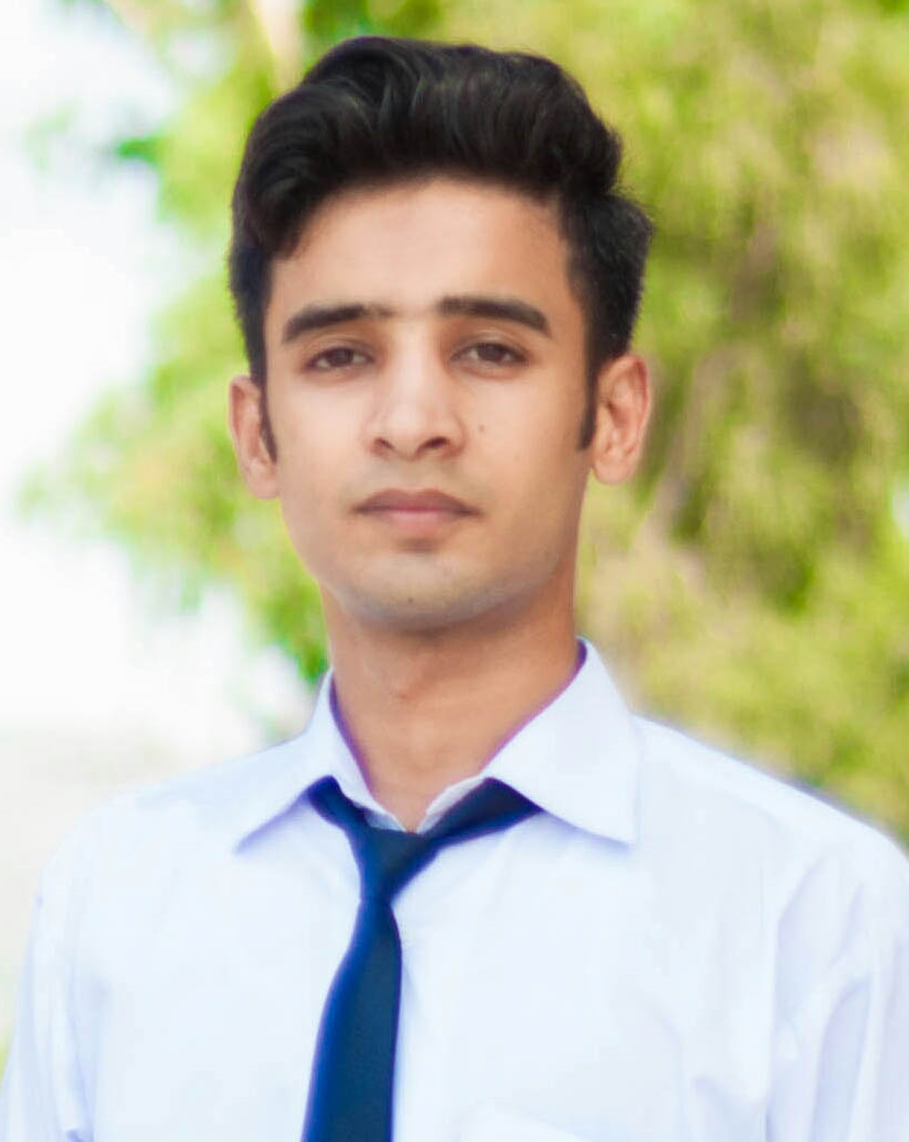 Fawad Ul Hassan Profile