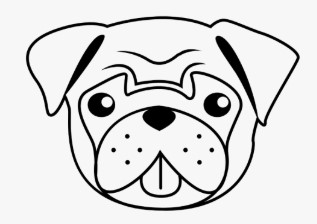 Muhammad Usman Profile