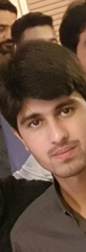 Daman Ali Mangi Profile Daman Ali Mangi Profile