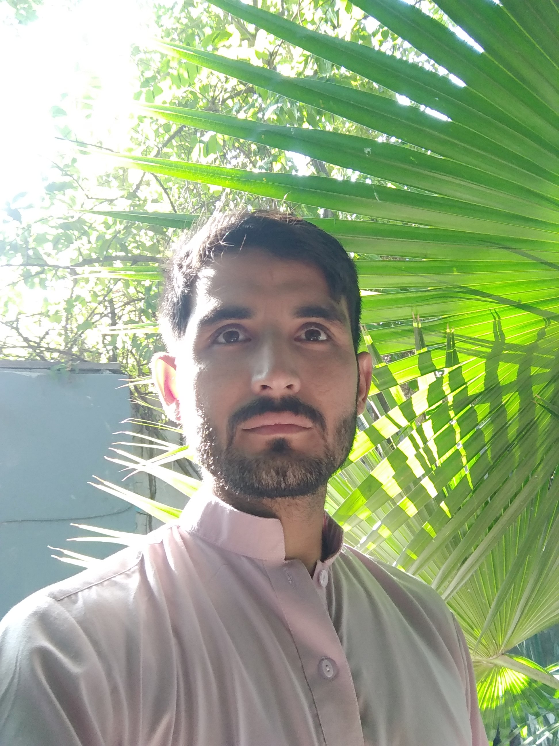 Zahid Ali Photo Editing, Print, Video Broadcasting, Voice Talent, Adobe Flash, AutoCAD Architecture