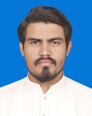 Gulzeb Abid Profile