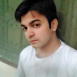Syed Shahzar 