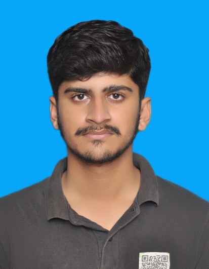 Muhammad Hasnain Naseer 