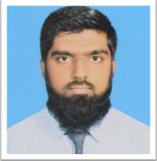 Muhammad Shahzain Excel, Data Entry, Data Processing, Bulk Marketing