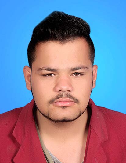 Malik Hamza Awan Profile Malik Hamza Awan Profile