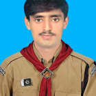 Sajid Saeed Management, MYOB, Patents, Real Estate, Education & Tutoring, Leadership Development, Care Management, Marketing, Social Media Marketing, HR Sales