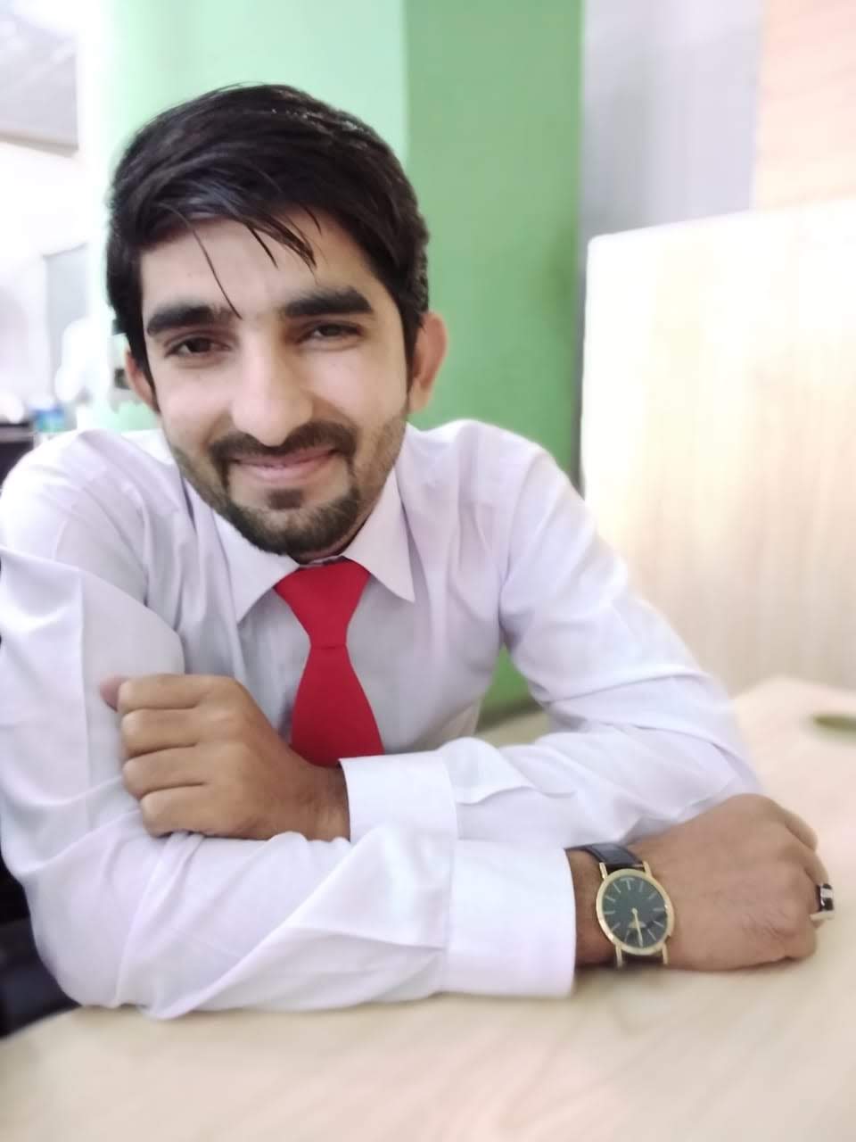 Aamir Shahzad Accounting, Audit, Business Analysis, Business Plans, Compliance, ERP, Finance, Data Entry, Excel