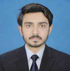 Hassan Raza Accounting, Audit, Business Analysis, Business Plans, Tax Accounting, Excel