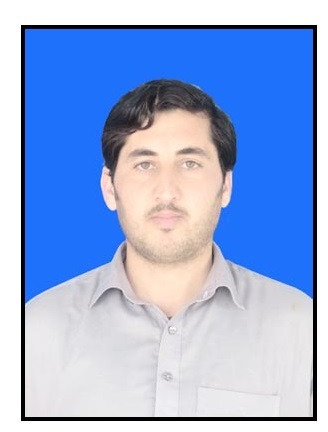 RAHMAT ULLAh KHAN Presentations, Word, Data Analysis, Education & Tutoring, Article Submission, Data Entry, Biology, Web Search, Biotechnology, Word Processing