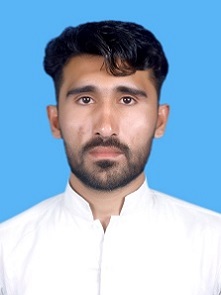 Qaisar Hayat Accounting, Software Development, Database Development