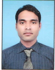 Faiz Bashir Accounting, Human Resources, Tax, SAP, Sales Account Management