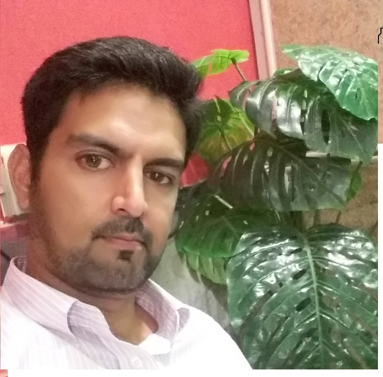 Shakil Mahmood Profile