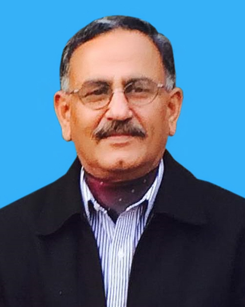 Jawad Ali Hamdani Profile