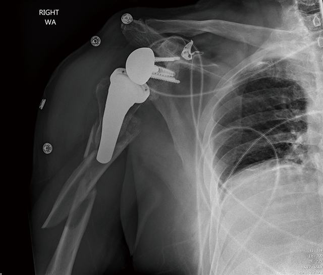 Muhammad Ashfaq Profile Muhammad Ashfaq Profile