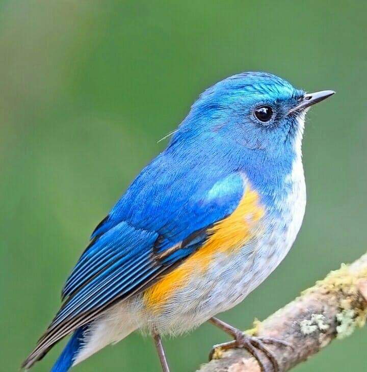 Sayedlah Shah Sayedllah S Profile Sayedlah Shah Sayedllah S Profile