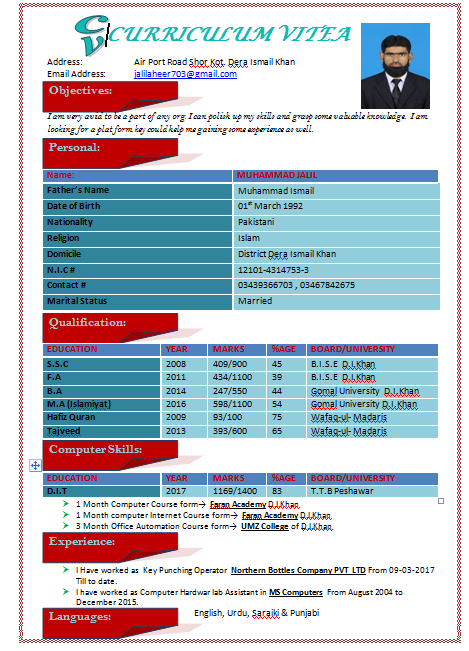Muhammad Jalil Word, Data Analysis, Data Entry