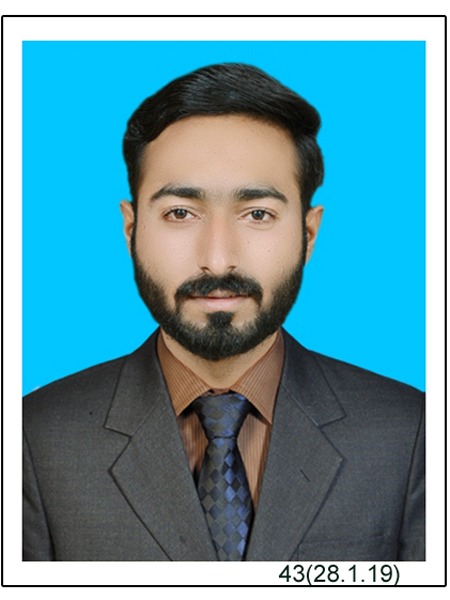 Rashid Hussain Data Entry, Article Submission, Excel, Web Search, Biology, Biotechnology, Genetic Engineering, Industrial Engineering, Microbiology, Research Writing
