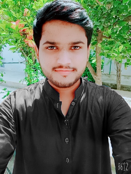 Muhammad Kashif Profile Muhammad Kashif Profile