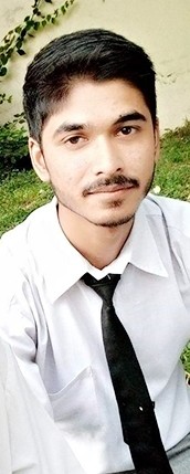 Abdul Wahab Mughal Wahab Mughal 