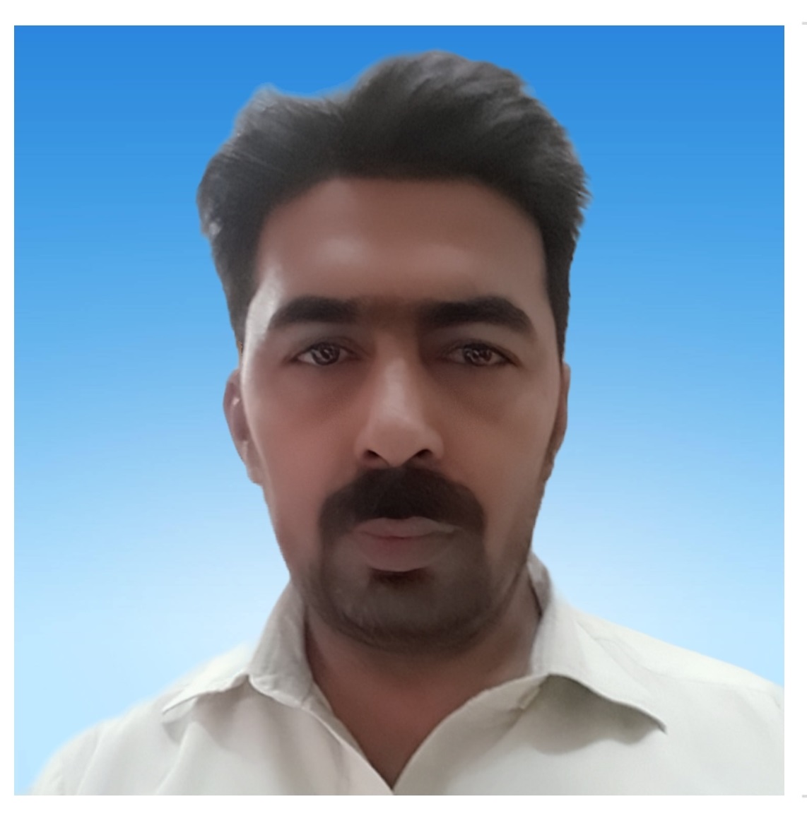 Fahim Jan Accounting, Audit, Employment Law, Inventory Management, Payroll, Tax, Tax Law, Account Management, Employment Tax, External Auditing