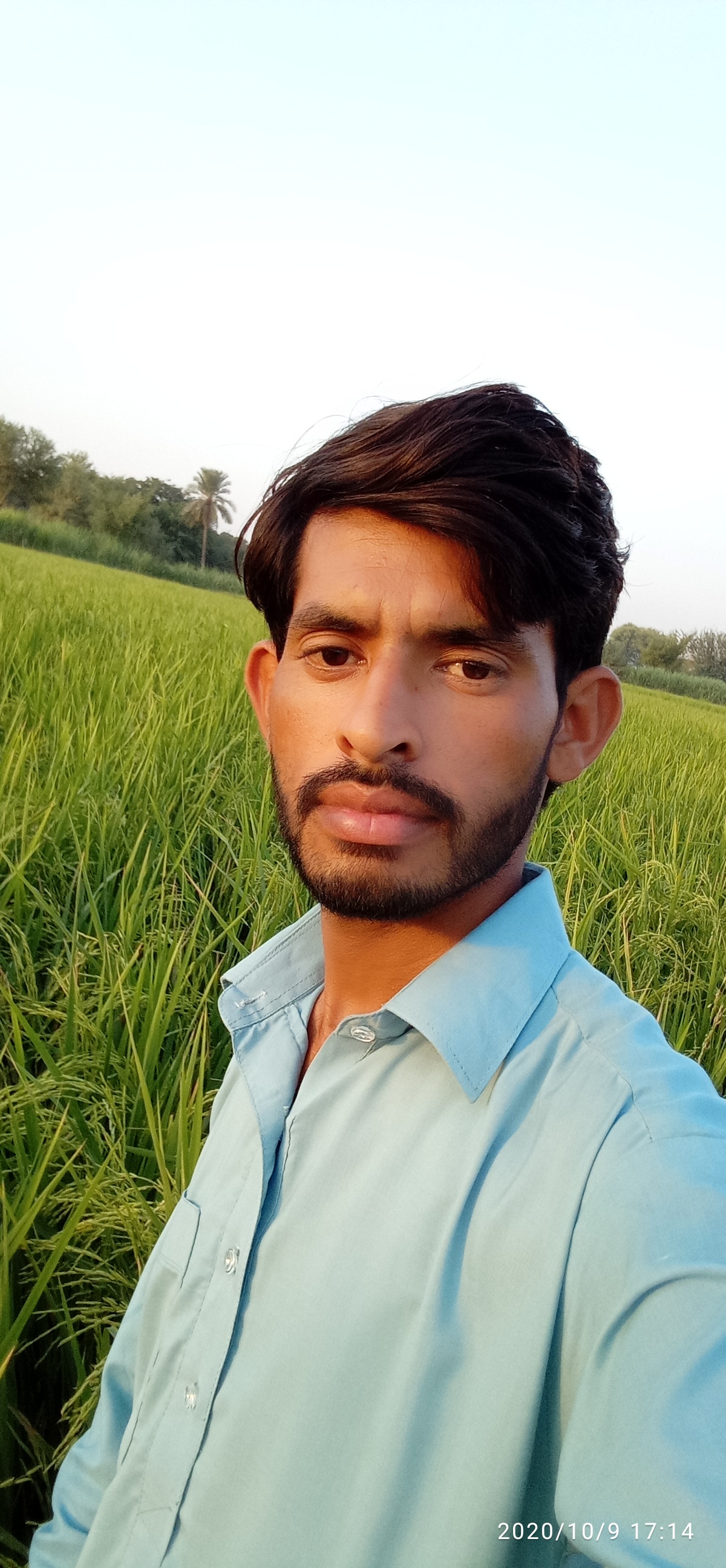 Muhammad Rashid Rashid 