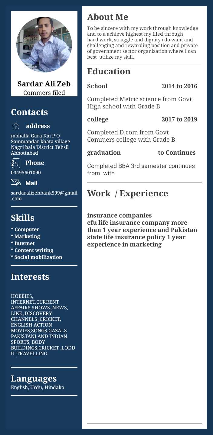 Sardar Ali Zeb Marketing Strategy